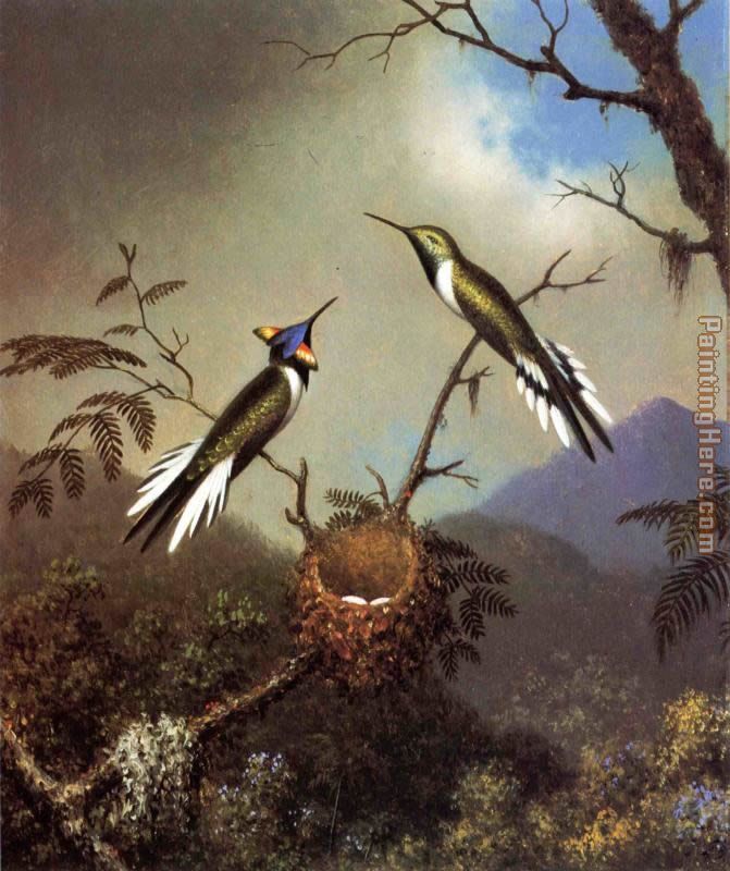 Martin Johnson Heade Hummingbirds at Their Nest - Sun Gems